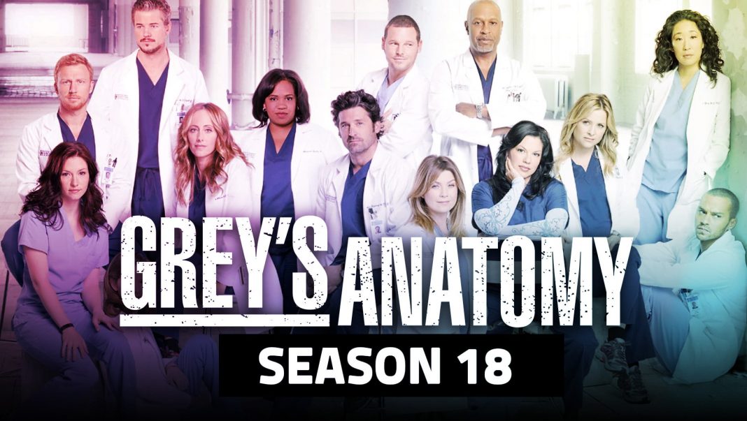 Greys Anatomy Season 18
