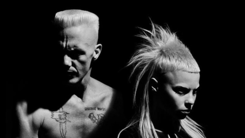 die antwoord controversy
